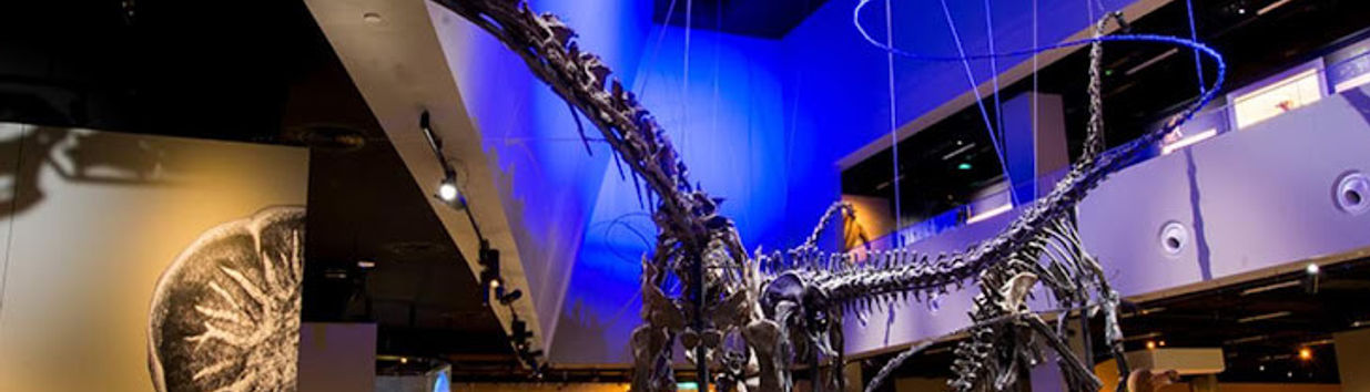 Lee Kong Chian Natural History Museum
