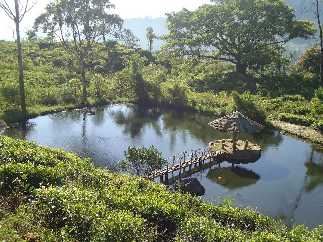Loolkandura Tea Estate