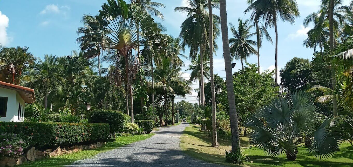 Magic Alambic Rum Distillery