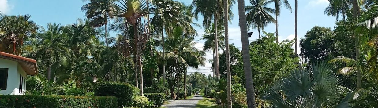 Magic Alambic Rum Distillery