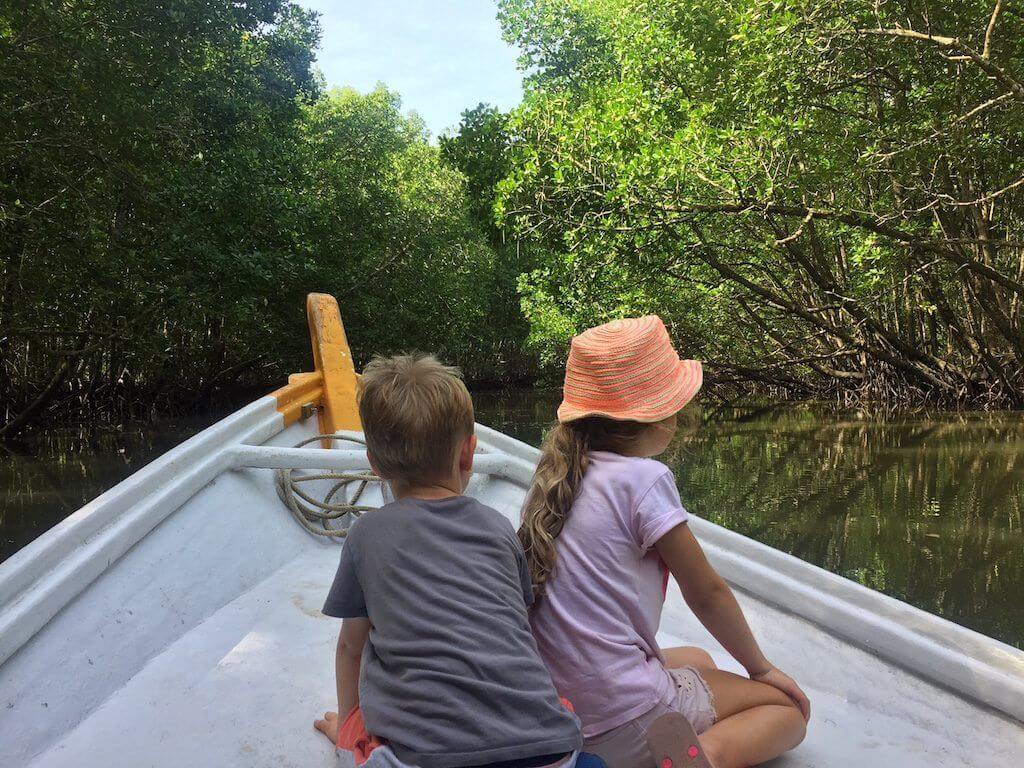 Mangrove Tour Langkawi Entrance Fee, Opening Hours & More