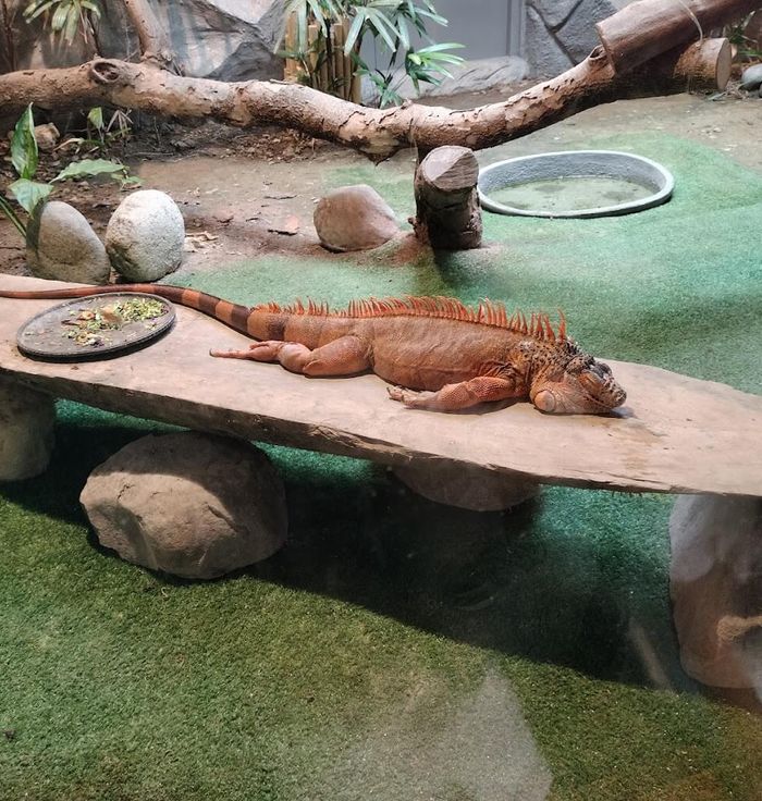 Manila Zoo