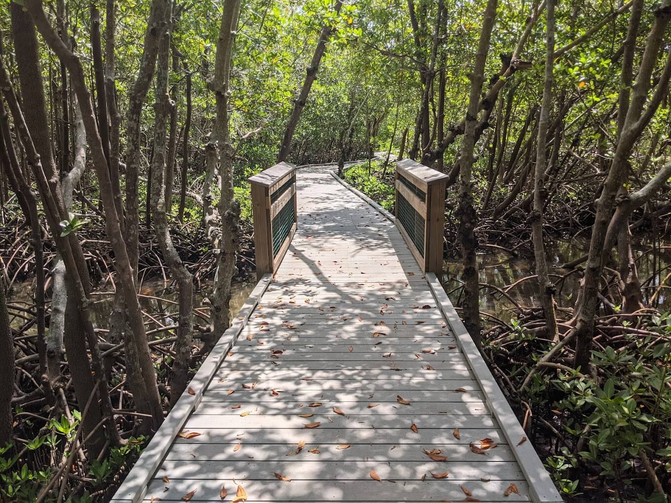 Matanzas Pass Preserve