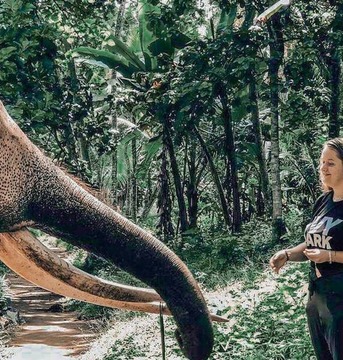 Millennium Elephant Foundation