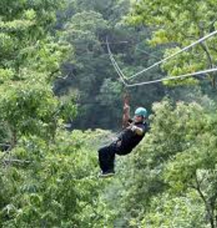 Monkey Jungle Dominican Republic