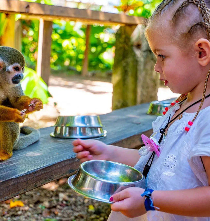 Monkeyland