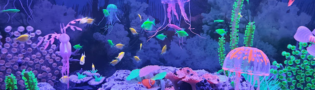 Monster Aquarium Pattaya
