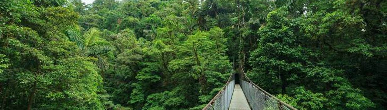 Monteverde Cloud Forest Reserve