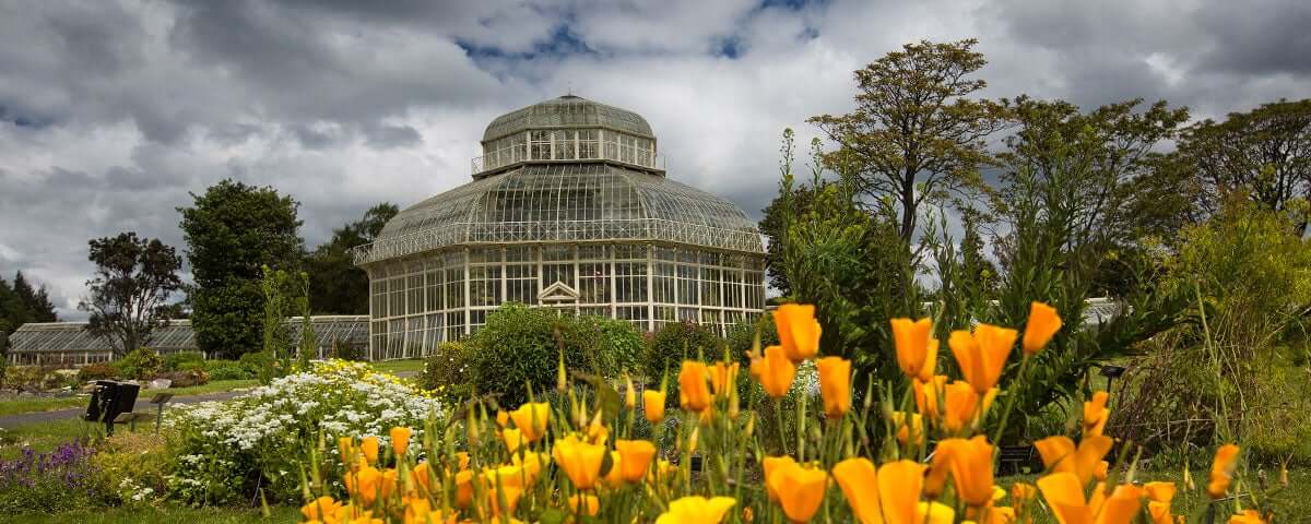 National Botanical Garden | Entrance Fee, Opening Hours & More