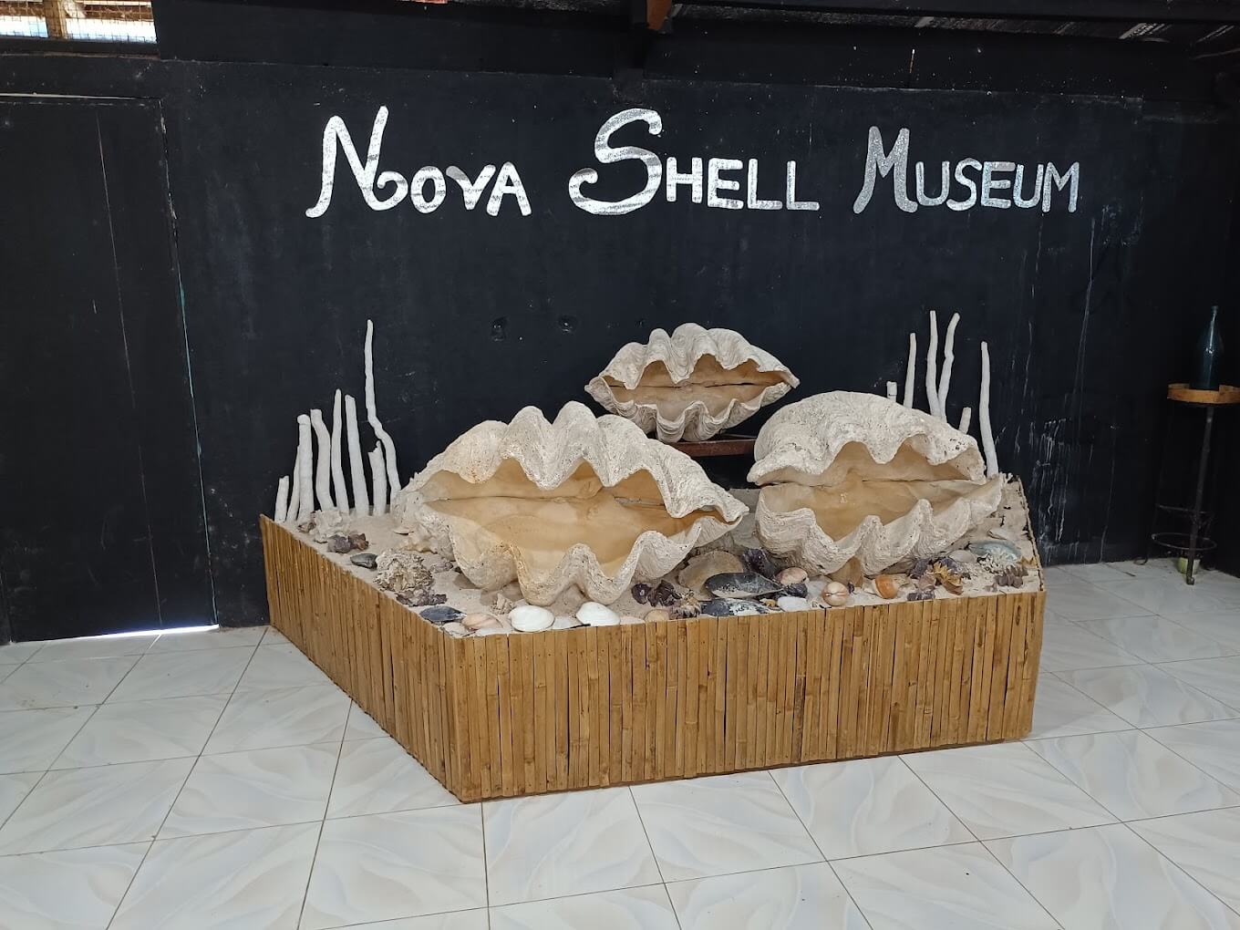 Nova Shell Museum