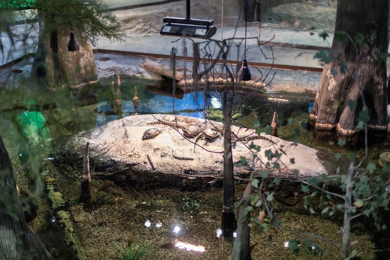 Orlando Science Center Entrance Fee, Opening Hours & More