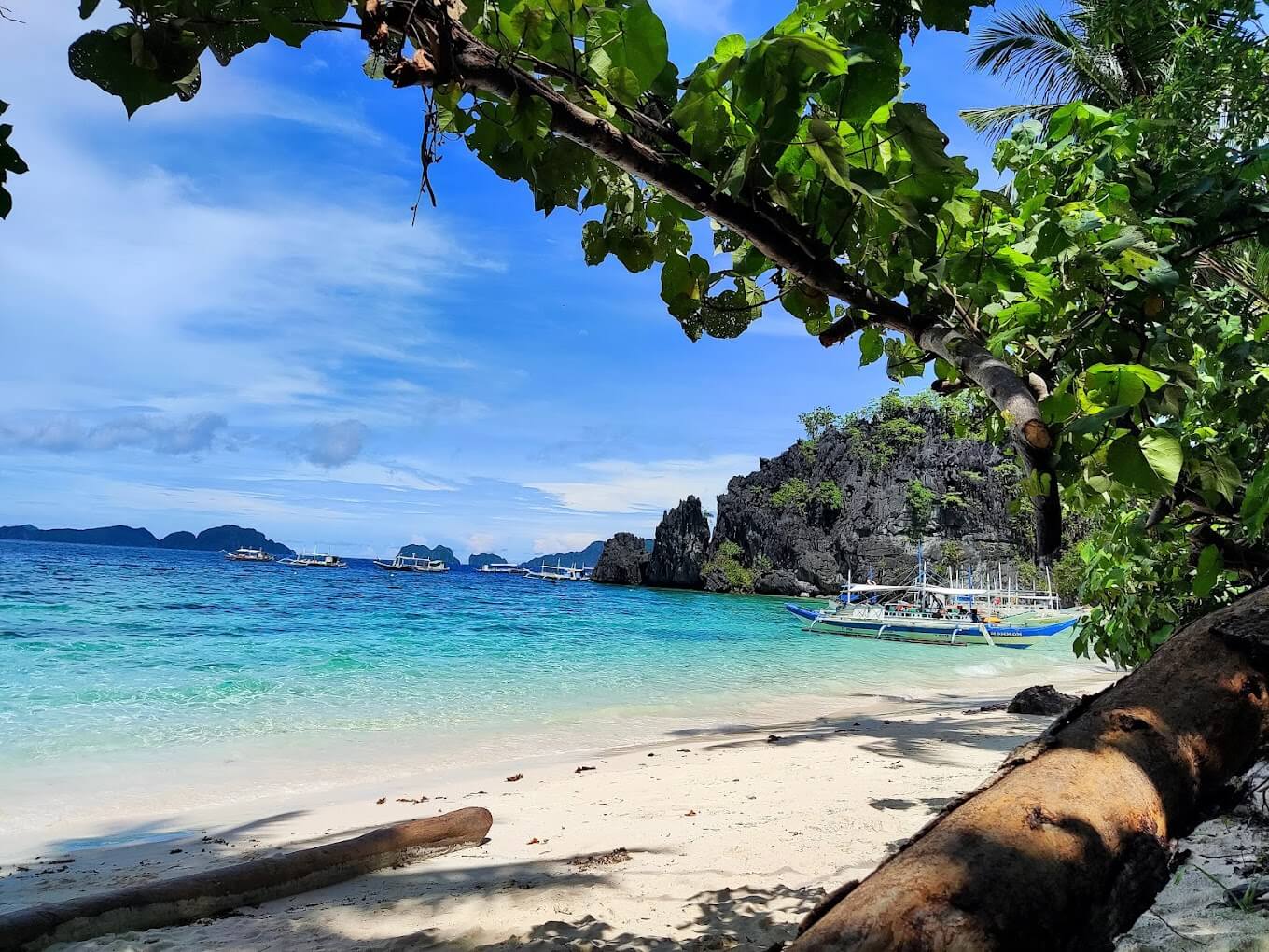 Papaya Beach