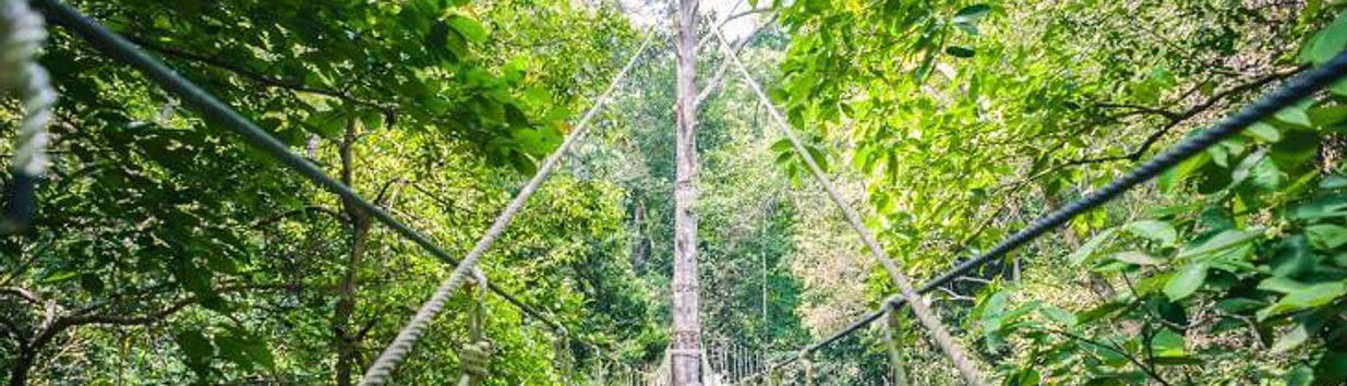 Penang National Park
