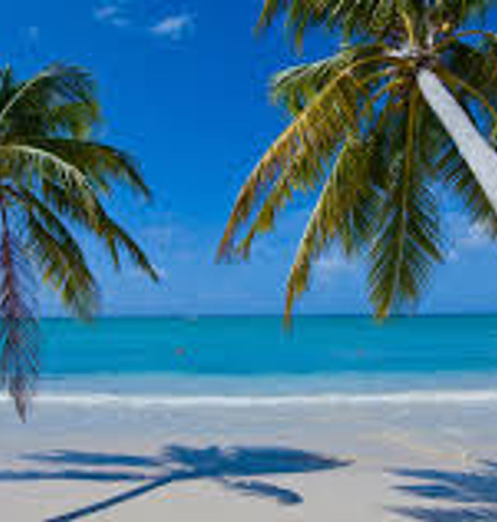 Playa Bavaro Punta Cana