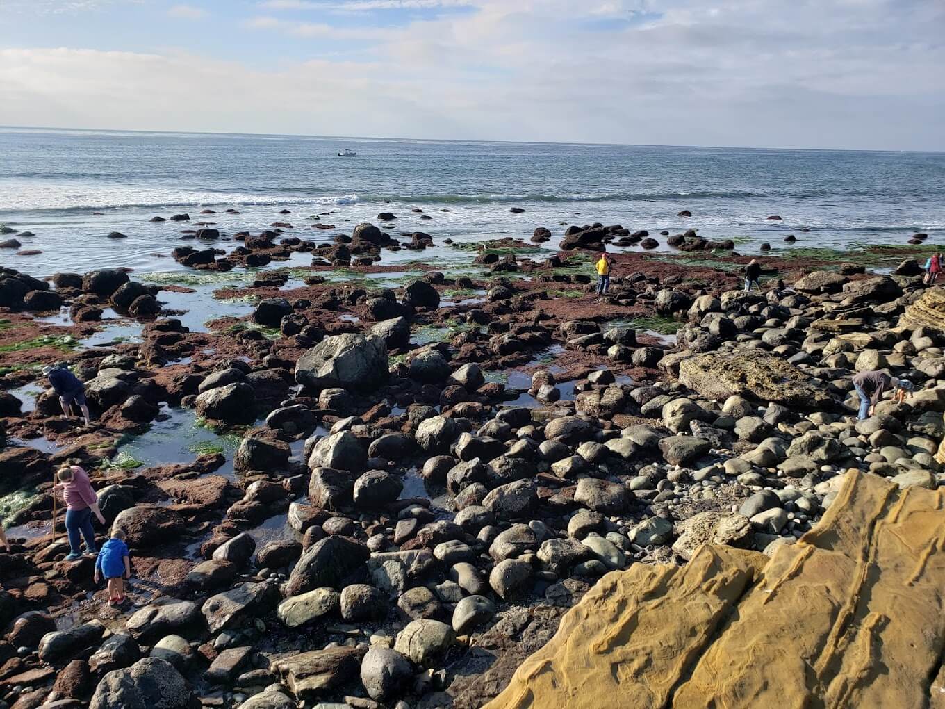 Point Loma Entrance Fee, Opening Hours & More