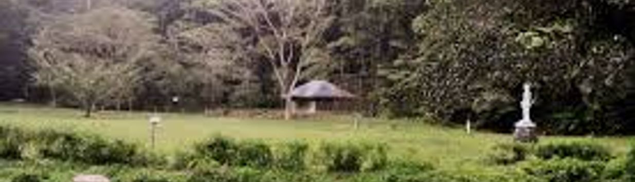 Raja Sikatuna National Park