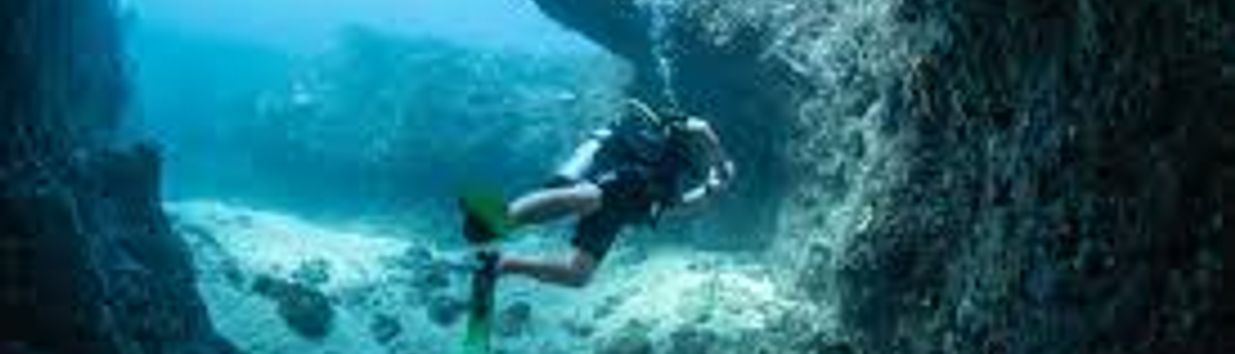 Samana Diving | Entrance Fee, Opening Hours & More