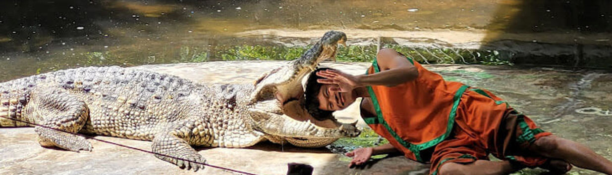 Samui Crocodile Farm