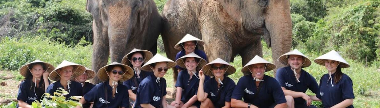 Samui Elephant Home