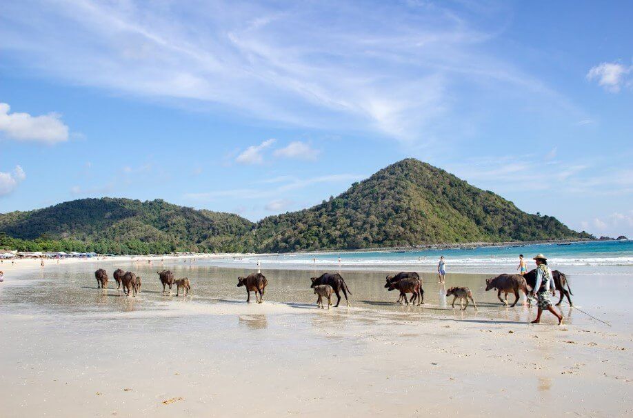 Selong Belanak Beach | Entrance Fee, Opening Hours & More