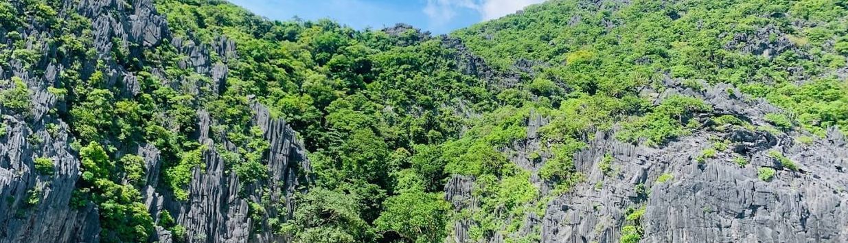Small Lagoon El Nido