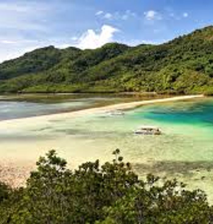 Snake Island (Vigan Island)