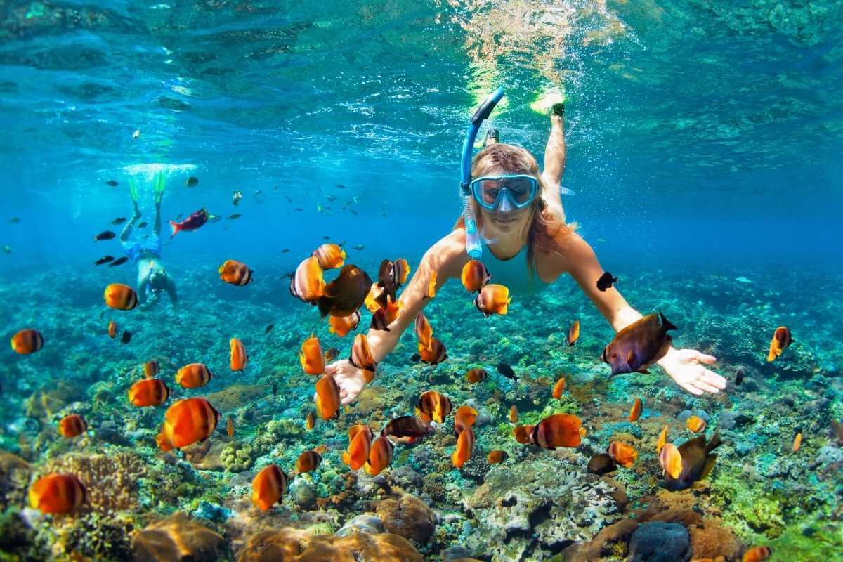 Boracay Ocean Park | Entrance Fee, Opening Hours & More