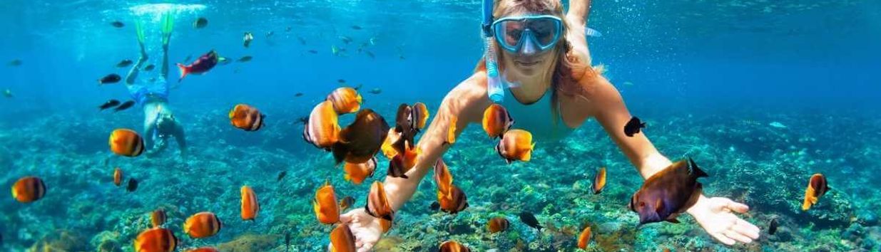 Snorkeling in Boracay | Entrance Fee, Opening Hours & More