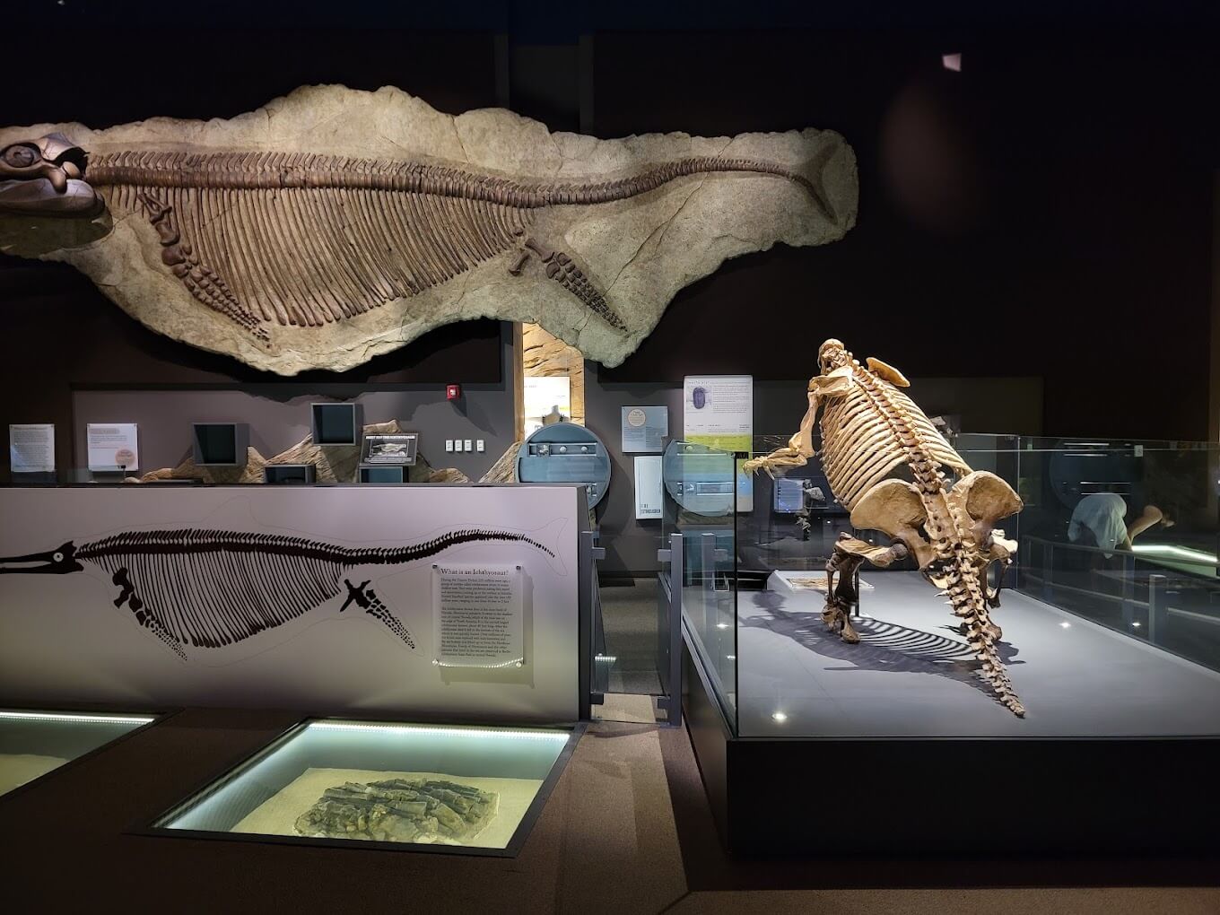 Springs Preserve Entrance Fee, Opening Hours & More