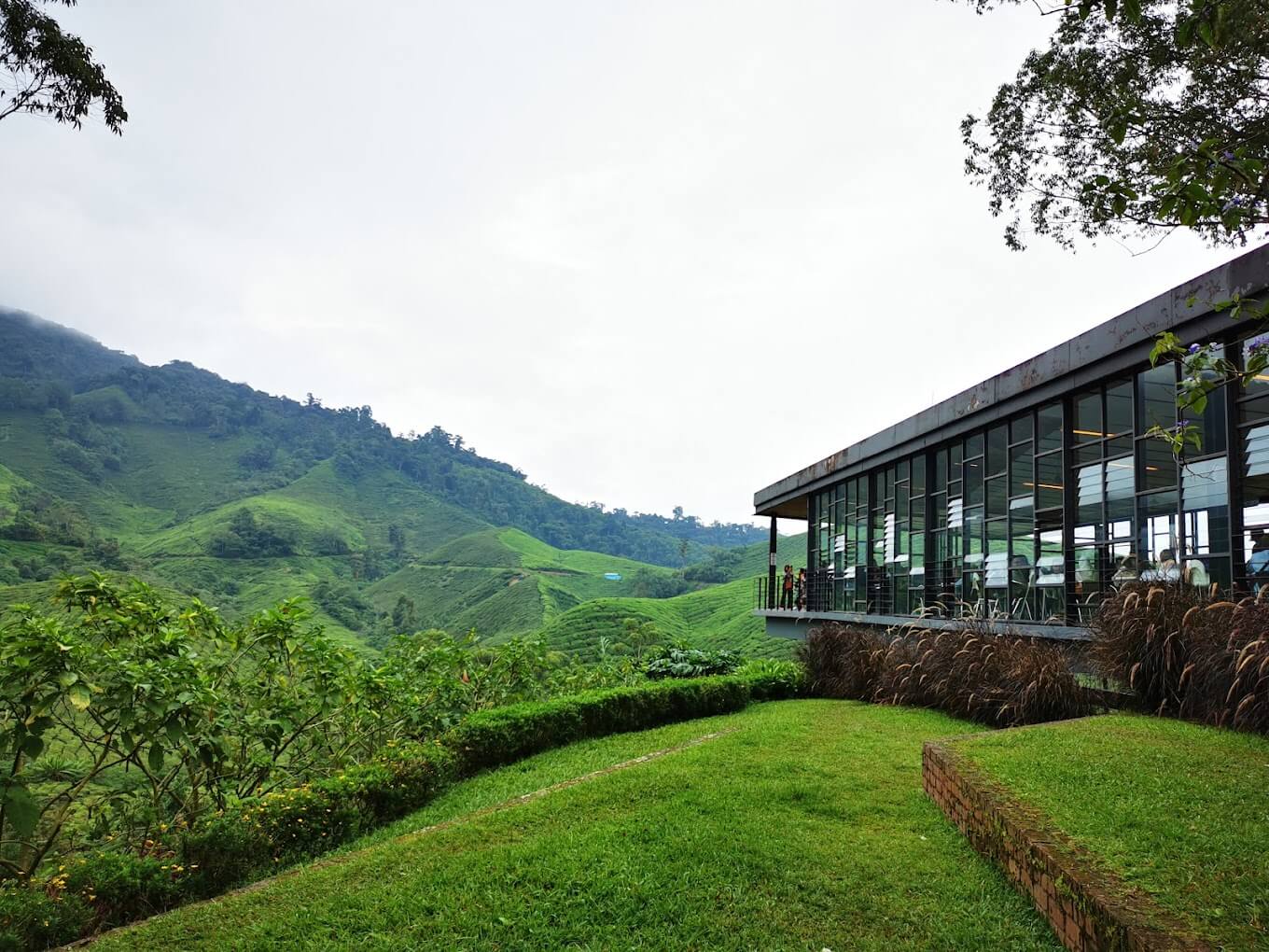 Sungai Palas Tea Centre