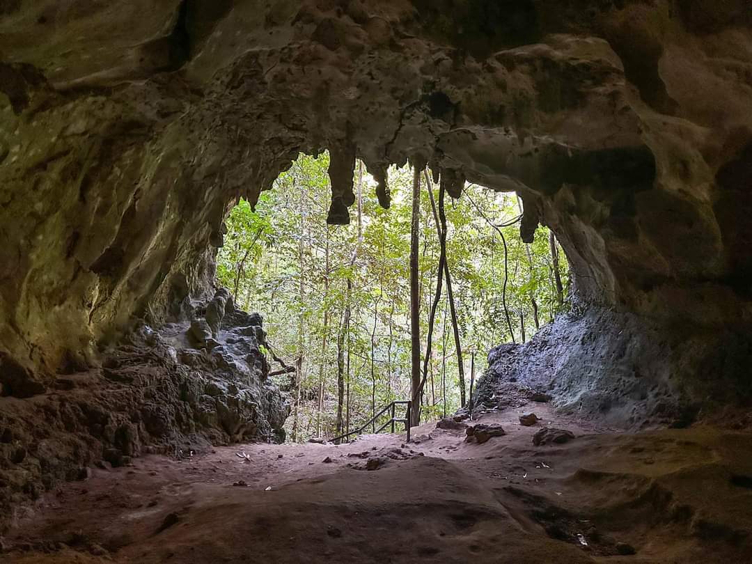 Tabon Caves | Entrance Fee, Opening Hours & More