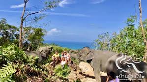 The Lake Phuket Elephant Home Ethical Sanctuary