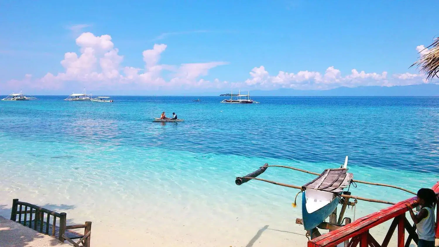 Whaleshark Oslob Snorkeling from Moalboal | Entrance Fee, Opening Hours ...