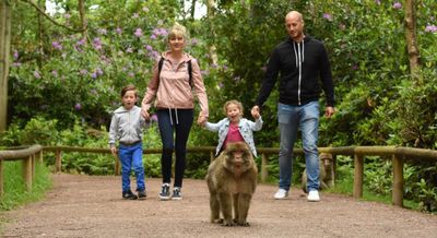 Top 7 Family Friendly Activities to do while you're in Bali