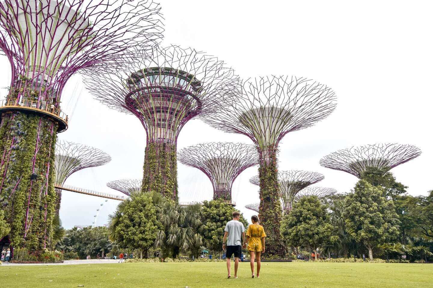 Top 7 things to do in Singapore