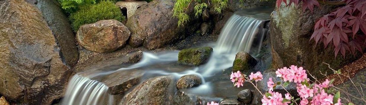 Anderson Japanese Gardens