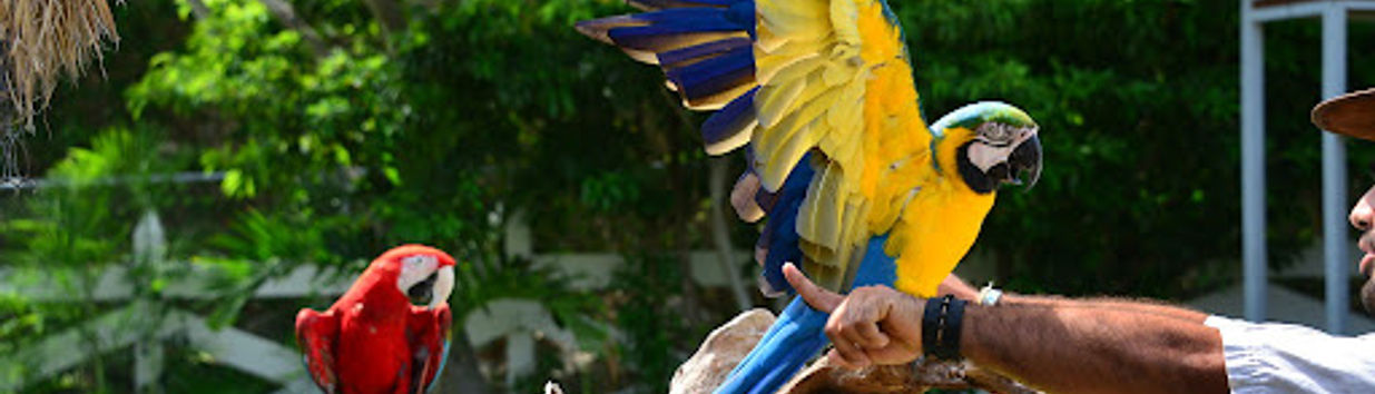Bel Air Animal Park