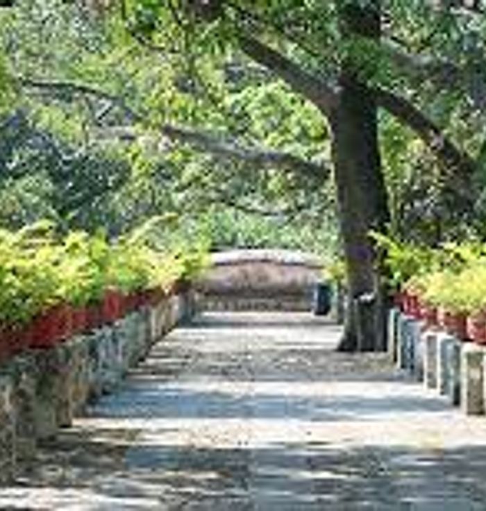 Borda Garden