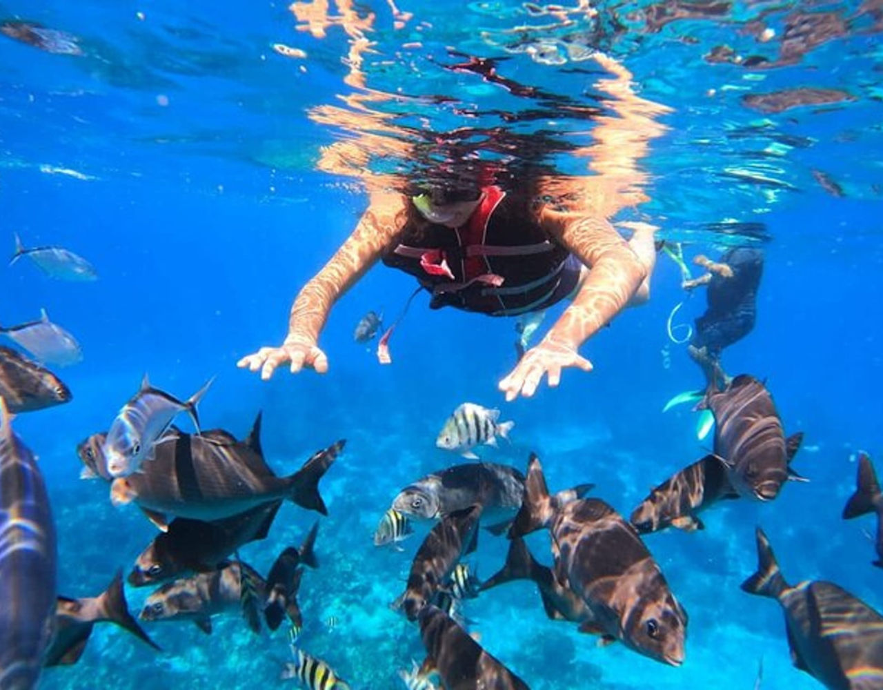 Cozumel Reef Explorer & Beach Tranquility Tour | ForeverVacation