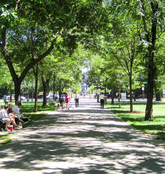 Commonwealth Avenue Mall