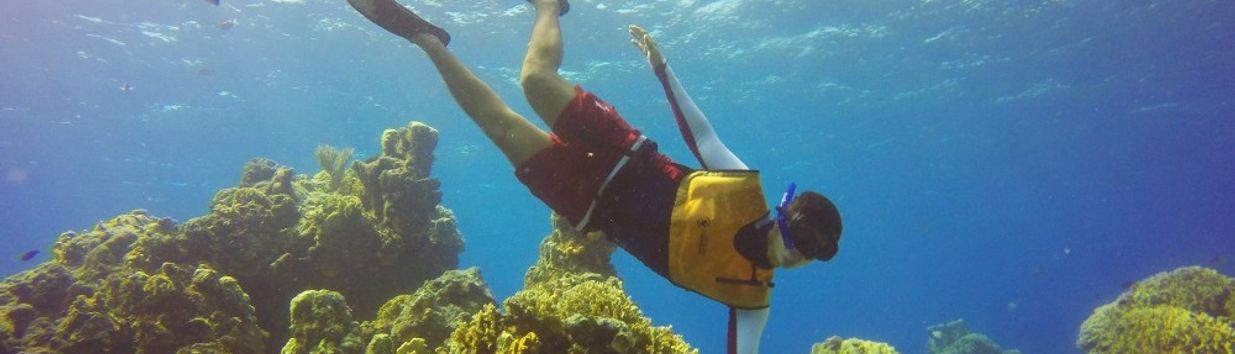Cozumel Reefs National Park