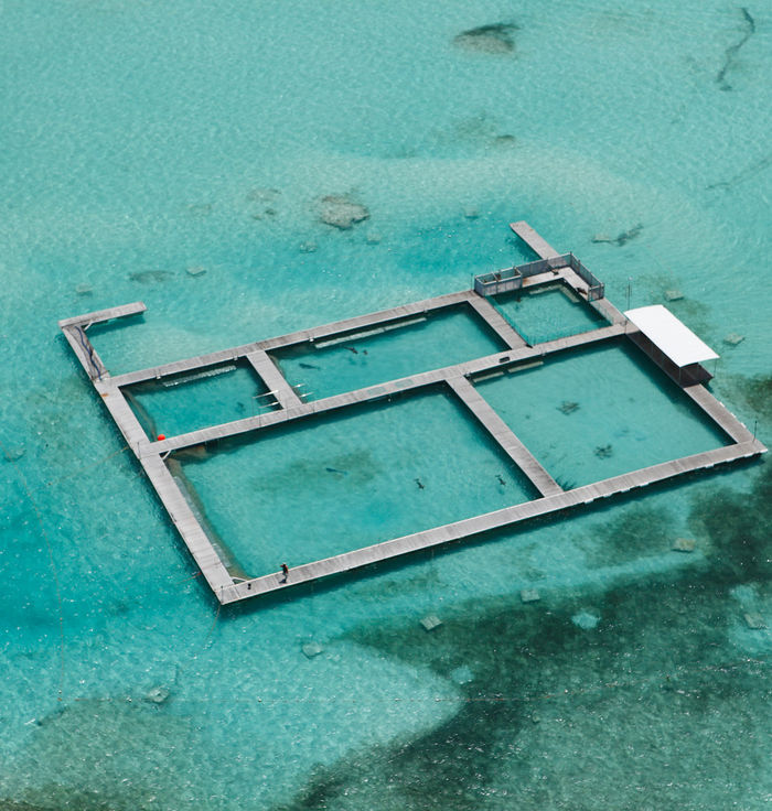 Dolphin Island Park