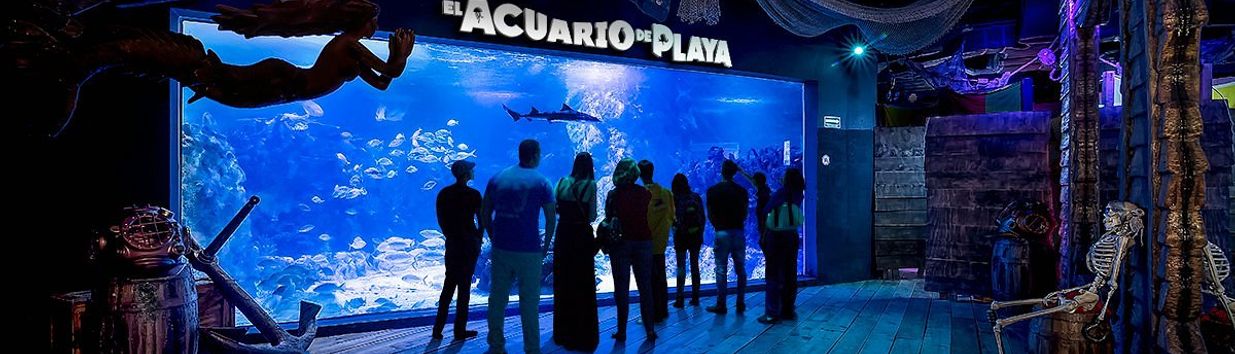 El Acuario de Playa