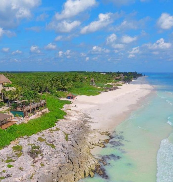 El Pez Tulum