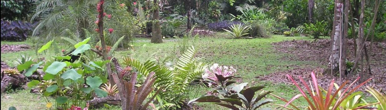 Finca la Isla Permaculture Farm, Plant Nursery and Botanical Garden