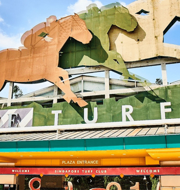 Horse Racing Area