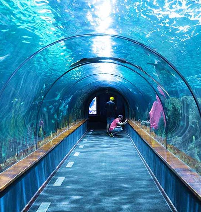 Istanbul Aquarium