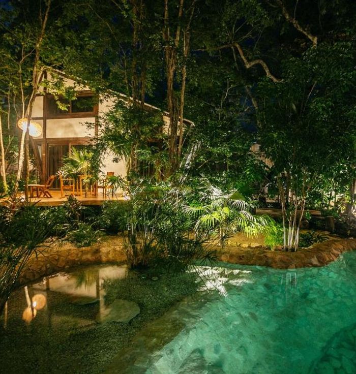 The Jungle Place