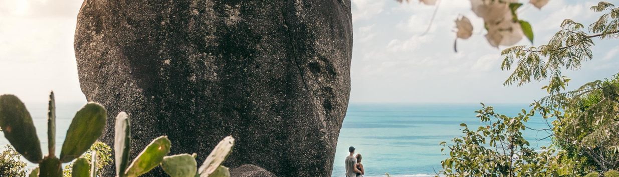 Elephant Jungle Sanctuary Samui