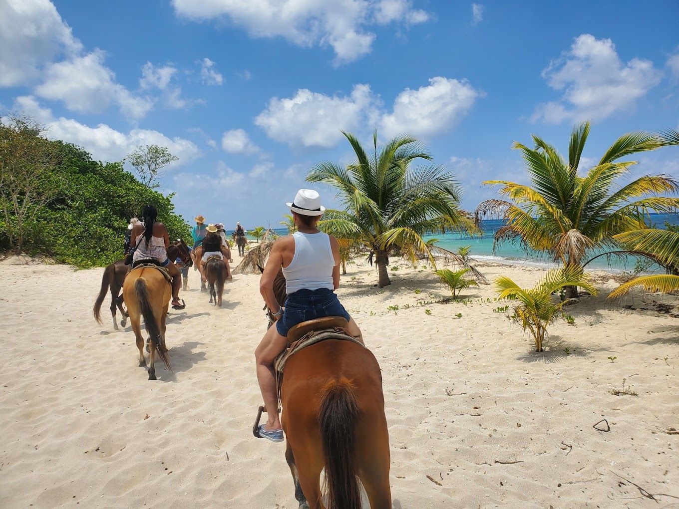 Cozumel Reef Explorer & Beach Tranquility Tour 